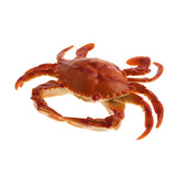 Maxbell Artificial PVC Crab Simulation Seafood Crab Decoration Soft and Realistic
