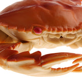 Maxbell Artificial PVC Crab Simulation Seafood Crab Decoration Soft and Realistic