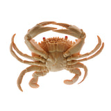 Maxbell Artificial PVC Crab Simulation Seafood Crab Decoration Soft and Realistic