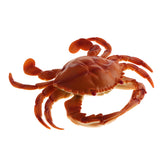Maxbell Artificial PVC Crab Simulation Seafood Crab Decoration Soft and Realistic