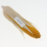 Maxbell Artificial Lifelike Fake Food Vegetable White Corn