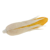Maxbell Artificial Lifelike Fake Food Vegetable White Corn