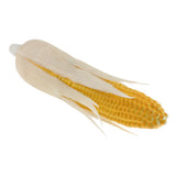 Maxbell Artificial Lifelike Fake Food Vegetable White Corn