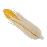 Maxbell Artificial Lifelike Fake Food Vegetable White Corn