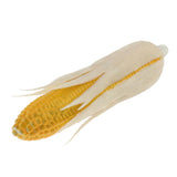 Maxbell Artificial Lifelike Fake Food Vegetable White Corn