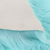 Max Plush Shaggy Area Rugs Fluffy Floor Carpet for Bedroom Bedside Light Blue