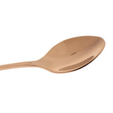 Max Pack of 2 Stainless Steel Soup Coffee Spoon with Long Handle Rose Gold - Aladdin Shoppers