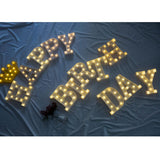 Max Decorative LED Letter Marquee Sign with Lights Y