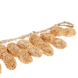 Max Lifelike Fake Food Vegetable A String of Peanut Home Decor Hotel Display