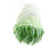Max Realistic Artificial Lifelike Vegetable PU Foam Fake Baby Cabbage Green