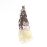 Max Lifelike Simulation Vegetable Fruit Model Home Kitchen Cabinet Bamboo shoots