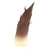 Max Lifelike Simulation Vegetable Fruit Model Home Kitchen Cabinet Bamboo shoots