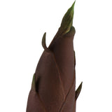 Max Lifelike Simulation Vegetable Fruit Model Home Kitchen Cabinet Bamboo shoots