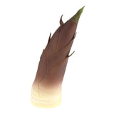 Max Lifelike Simulation Vegetable Fruit Model Home Kitchen Cabinet Bamboo shoots