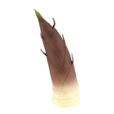 Max Lifelike Simulation Vegetable Fruit Model Home Kitchen Cabinet Bamboo shoots