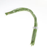 Max Lifelike Simulation Vegetable Fruit Model Home Kitchen Cabinet Beans