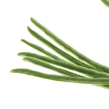 Max Lifelike Simulation Vegetable Fruit Model Home Kitchen Cabinet Beans