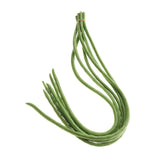 Max Lifelike Simulation Vegetable Fruit Model Home Kitchen Cabinet Beans