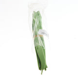 Max Artificial Vegetable Decor Lifelike Fake Simulation Vegetables Beans Lentils