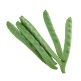 Max Artificial Vegetable Decor Lifelike Fake Simulation Vegetables Beans Lentils