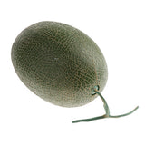 Max Fake Fruit Party Decoration Artificial Lifelike Simulation Cantaloupe Green