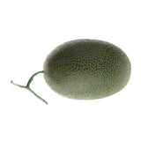 Max Fake Fruit Party Decoration Artificial Lifelike Simulation Cantaloupe Green