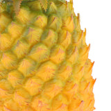 Max Fruit and Vegetable Simulation Model - Medium Pineapple Yellow Pineapple