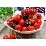 Max Colorful Simulation Fruit Cherry 20 Capsules  Large Double Red