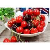 Colorful Simulation Fruit Cherry 20 Capsules Small Single Red