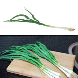 Max Green Artificial Food Vegetable and Fruit Models Garlic Shallot Garlic 40cm