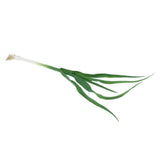 Max Green Artificial Food Vegetable and Fruit Models Garlic Shallot Garlic 40cm