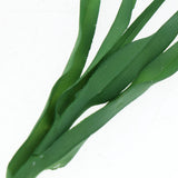 Max Green Artificial Food Vegetable and Fruit Models Garlic Shallot Garlic 40cm