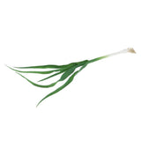 Max Green Artificial Food Vegetable and Fruit Models Garlic Shallot Garlic 40cm