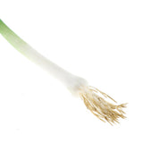 Max Green Artificial Food Vegetable and Fruit Models Garlic Shallot Garlic 40cm