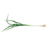 Max Green Artificial Food Vegetable and Fruit Models Garlic Shallot Garlic 40cm