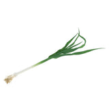 Max Green Artificial Food Vegetable and Fruit Models Garlic Shallot Garlic 40cm