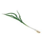 Max Green Artificial Food Vegetable and Fruit Models Garlic Shallot Garlic 40cm