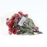 Max Artificial Fruits Decor Lifelike Fake Simulation Fruit Red Bay