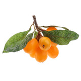 Max Artificial Simulation Fruits Model Yellow Loquat for Home Kitchen Decoration
