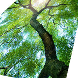 Max 3D Living Room Area Rug Runner Anti-Skid Floor Mat Carpet Tree