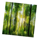Max Digital Printing 3D Curtain Drapes for Bedroom Living Room Sunshine Forest