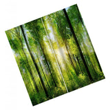 Max Digital Printing 3D Curtain Drapes for Bedroom Living Room Sunshine Forest