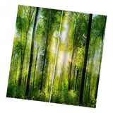 Max Digital Printing 3D Curtain Drapes for Bedroom Living Room Sunshine Forest