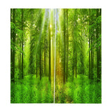 Max 2 Panel Waterproof 3D Curtain Drapes for Living Room Bedroom Window Style_F