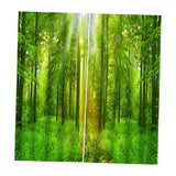 Max 2 Panel Waterproof 3D Curtain Drapes for Living Room Bedroom Window Style_F