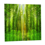 Max 2 Panel Waterproof 3D Curtain Drapes for Living Room Bedroom Window Style_F