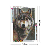 Maxbell 5D Diamond Embroidery Painting Kits Rhinestone Picture Home Wall Decor 2