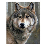 Maxbell 5D Diamond Embroidery Painting Kits Rhinestone Picture Home Wall Decor 2