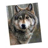 Maxbell 5D Diamond Embroidery Painting Kits Rhinestone Picture Home Wall Decor 2