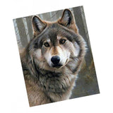 Maxbell 5D Diamond Embroidery Painting Kits Rhinestone Picture Home Wall Decor 2